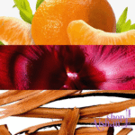 ادوتویلت زنانه دیواین رویال - Image 2