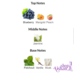 ادوپرفیوم زنانه اکلت نویی - Image 3