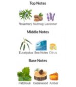 ادوپرفیوم مردانه نوردیک واترز اینفینیت بلو46064 - Image 2