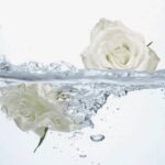  ژل شستشوی واژینـال شاداب کننده فمینله اوریفلیم اصل کد 47099 - Image 4