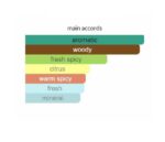 ادوتویلت مردانه گلشیر اکستریم40667 - Image 5