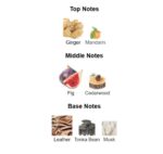 ادوتویلت مردانه اکلت هوم ویکند آزور(46795) - Image 4