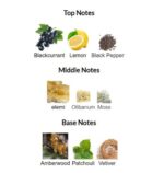 پرفیوم مردانه جوردانی گلد اسنزا الکسیر (45967) - Image 3