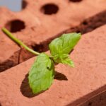 ادوتویلت مردانه ونچر اوریفلیم 45382 - Image 2