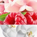 پرفیوم زنانه آل ار ناتینگAll Or Nothing Parfum: 35679 - Image 8