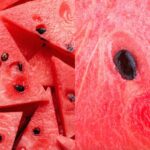 بالم محافظت کننده تندرکر هندوانه (49133)Tender Care Watermelon Multi-purpose Balm - Image 5